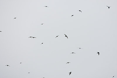 BUITEN BEELD Foto: 60014