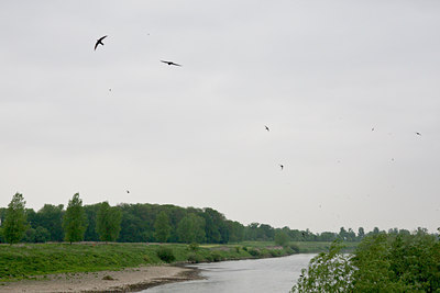 BUITEN BEELD Foto: 60016