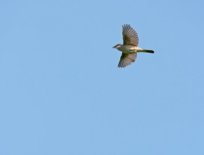 BUITEN BEELD Foto: 60036