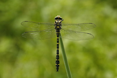 BUITEN BEELD Foto: 60056