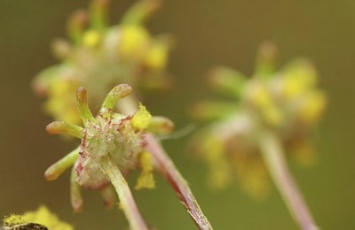 BUITEN BEELD Foto: 60069