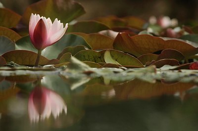 BUITEN BEELD Foto: 60145