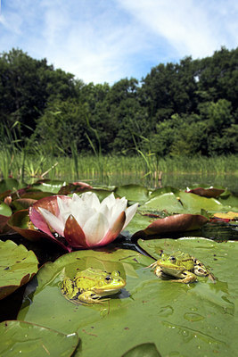 BUITEN BEELD Foto: 60358