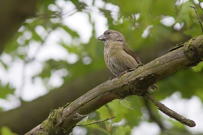 BUITEN BEELD Foto: 60379