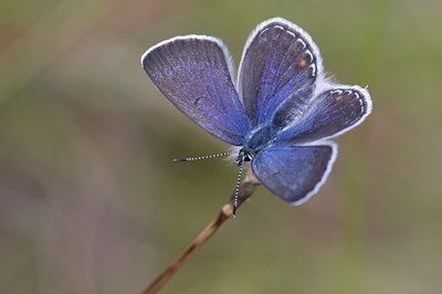 BUITEN BEELD Foto: 60382