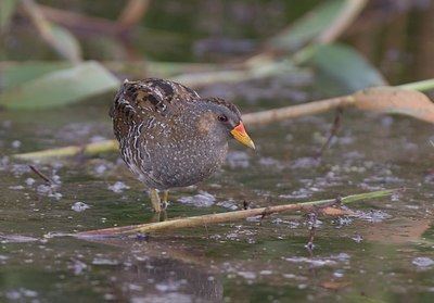 BUITEN BEELD Foto: 60421