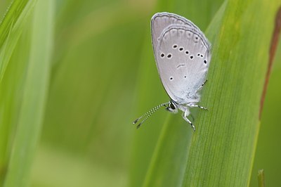 BUITEN BEELD Foto: 60437