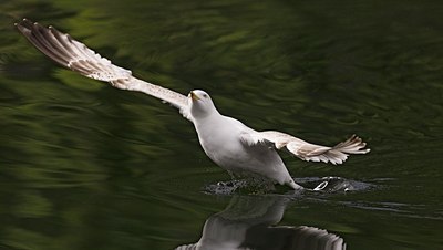 BUITEN BEELD Foto: 60453