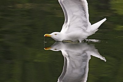 BUITEN BEELD Foto: 60457