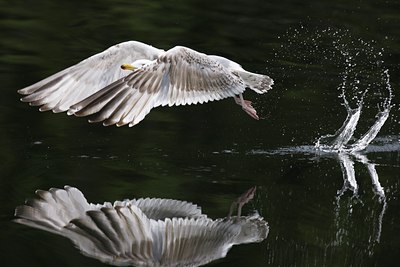 BUITEN BEELD Foto: 60458