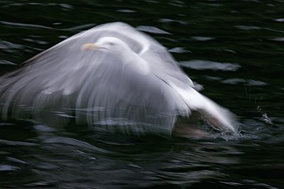 BUITEN BEELD Foto: 60463