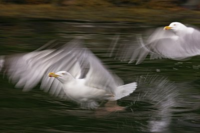 BUITEN BEELD Foto: 60465