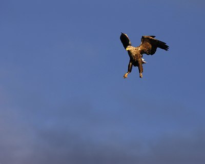 BUITEN BEELD Foto: 60480
