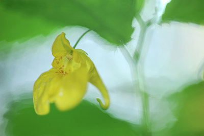 BUITEN BEELD Foto: 60539