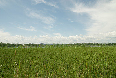 BUITEN BEELD Foto: 60549