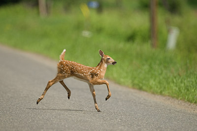 BUITEN BEELD Foto: 60551