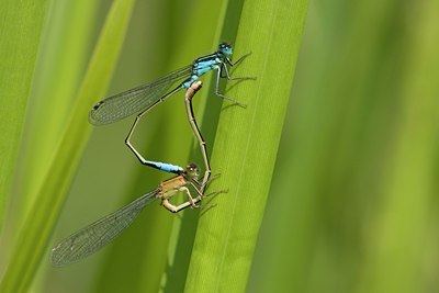 BUITEN BEELD Foto: 60558