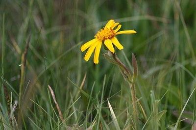 BUITEN BEELD Foto: 60569