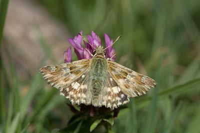 BUITEN BEELD Foto: 60581
