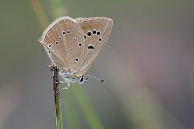 BUITEN BEELD Foto: 60588