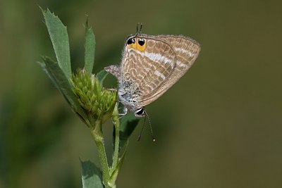 BUITEN BEELD Foto: 60602