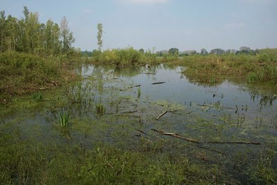 BUITEN BEELD Foto: 60634