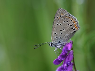 BUITEN BEELD Foto: 60643
