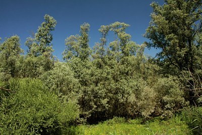 BUITEN BEELD Foto: 60646
