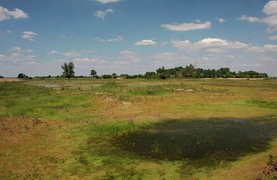 BUITEN BEELD Foto: 60654