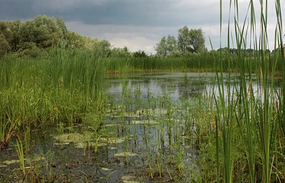 BUITEN BEELD Foto: 60655