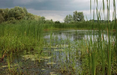 BUITEN BEELD Foto: 60655