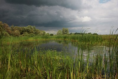 BUITEN BEELD Foto: 60656