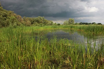 BUITEN BEELD Foto: 60660