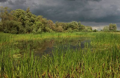 BUITEN BEELD Foto: 60661