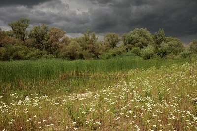 BUITEN BEELD Foto: 60662