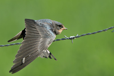 BUITEN BEELD Foto: 60668