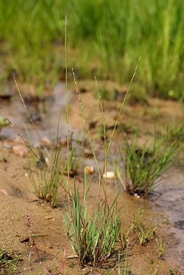 BUITEN BEELD Foto: 60718