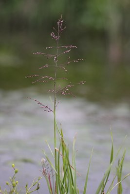 BUITEN BEELD Foto: 60723