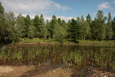 BUITEN BEELD Foto: 60766