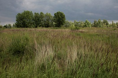 BUITEN BEELD Foto: 60775