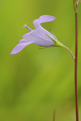 BUITEN BEELD Foto: 60802