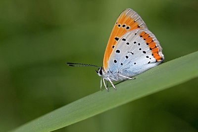 BUITEN BEELD Foto: 60870