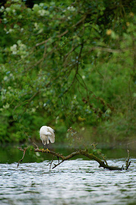 BUITEN BEELD Foto: 60931