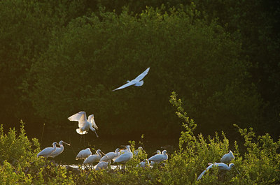 BUITEN BEELD Foto: 60933