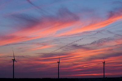 BUITEN BEELD Foto: 60949