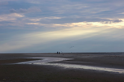 BUITEN BEELD Foto: 60954