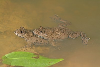 BUITEN BEELD Foto: 61018