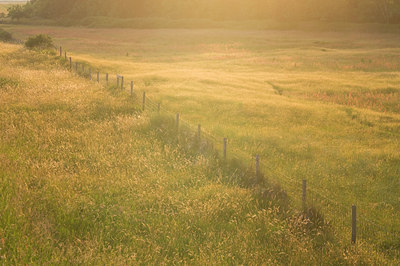 BUITEN BEELD Foto: 61107