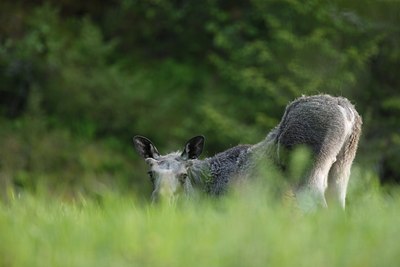 BUITEN BEELD Foto: 61127