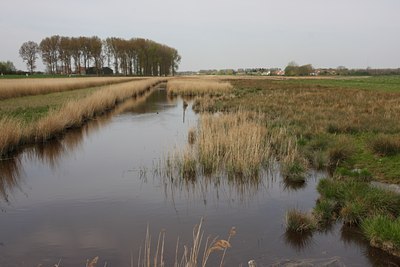 BUITEN BEELD Foto: 61145